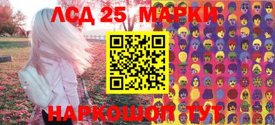индика Бийск