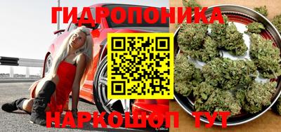 индика Бийск