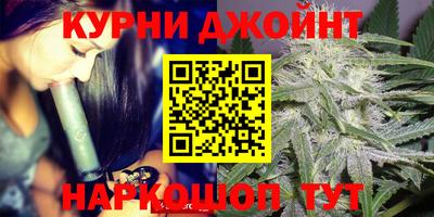индика Бийск