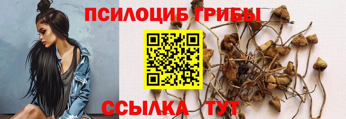 Псилоцибиновые грибы Psilocybe  Галлюциногенные грибы Psilocybine cubensis  купить закладку  Берёзовский  Вход с VPN 